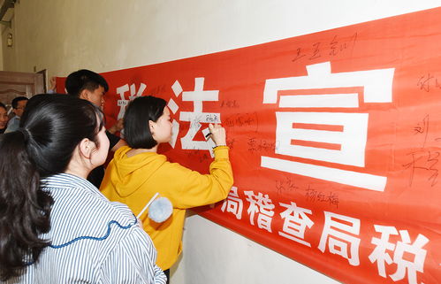 探索纳税人学校，提升税务知识和技能的金钥匙