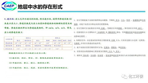 深入探讨，背景调查在职场中的重要性及其常见问题