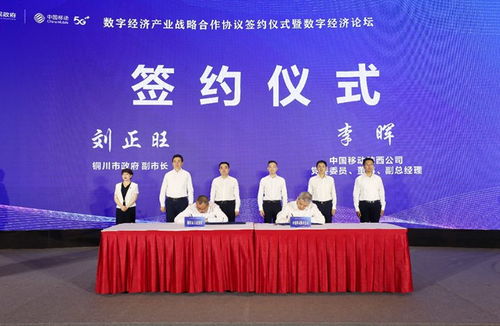 商洛城建网，城市发展新引擎，数字化转型的先行者