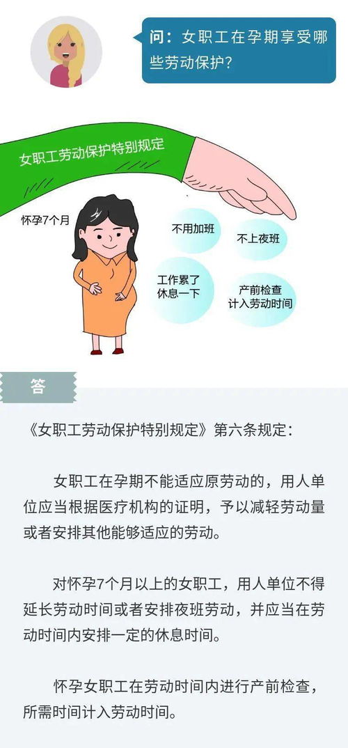 合肥市劳动保障网，您的职场守护神