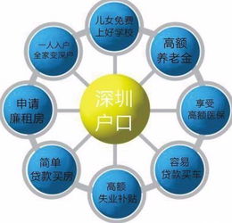 深圳积分入户全解析，条件、流程与策略