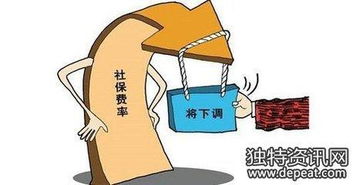 揭秘措施费费率，如何影响你的钱包和项目成功