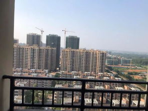 嘉鱼二手房市场深度解析，投资与自住的双重视角