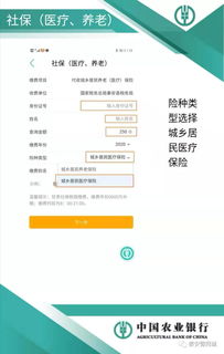 全面指南，医疗保险网上缴费流程详解