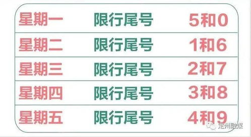 2023年9月限号出行指南，轻松掌握限号规则，畅行无忧