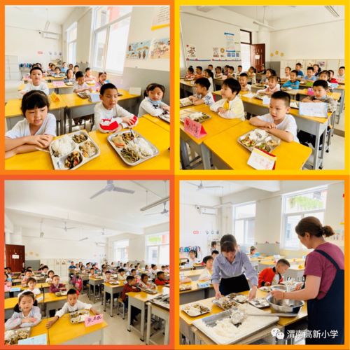食品安全，守护健康的第一道防线