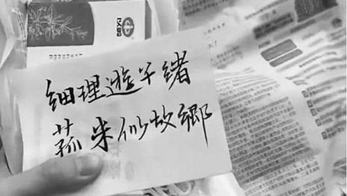 开启梦想家园的钥匙，预售许可证的魔力与奥秘