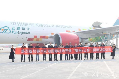 国际货物运输，全球贸易的桥梁