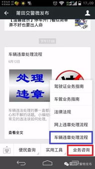 佛山交警网违章查询，一站式了解违章处理流程与技巧
