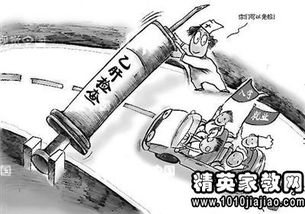 乙肝病毒携带者就业，挑战、权益与社会支持