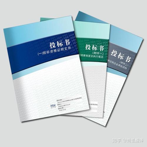 工程投标书范本，专业指南与实用技巧