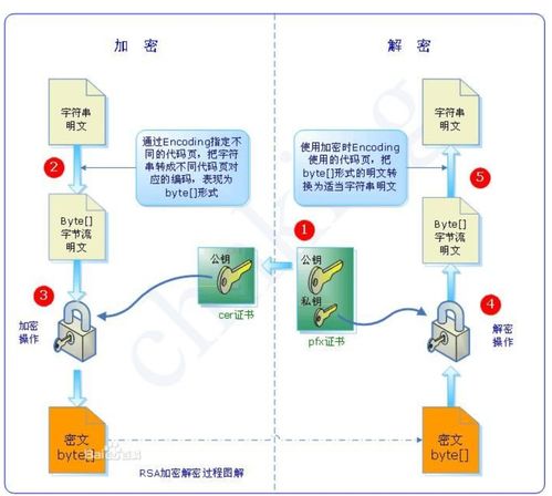 成人性导航，理解、尊重与安全的重要性