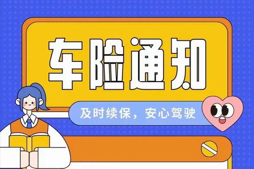 明智选择，哪些车险不必购买