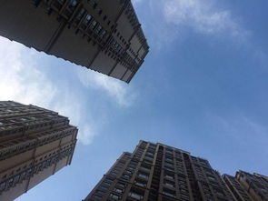 揭秘房地产代理销售，市场动态、策略与未来趋势