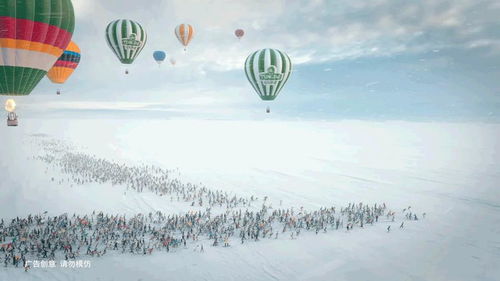 探索冬奥会，历史、意义与2022年北京冬奥会的亮点