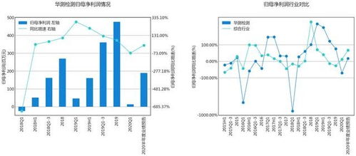 解密企业成功的基石，深入分析主营业务收入的重要性
