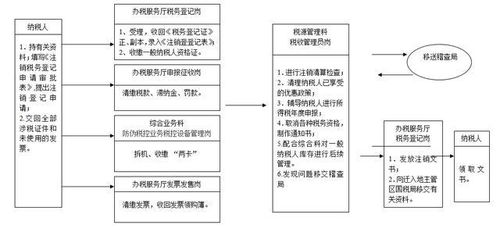 简化税务流程，深入了解免征增值税的账务处理