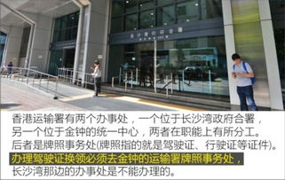 掌握最新驾照考试项目，技巧、策略与实用建议
