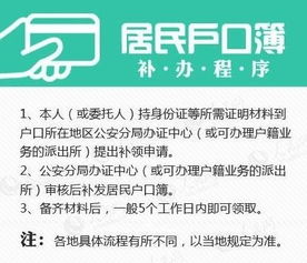 掌握最新驾照考试项目，技巧、策略与实用建议