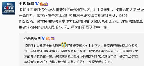 悬赏追凶，20万奖金背后的正义与智慧