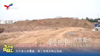 深入了解环境污染，原因、影响与解决之道