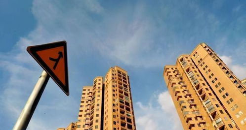 道县租房市场解析，租金走势、热门区域与租房攻略