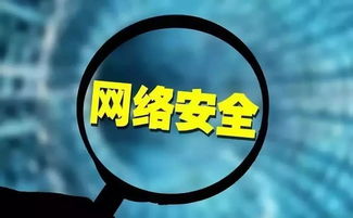 国家网络监管局，维护网络安全与秩序的守护者