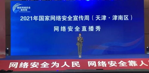 国家网络监管局，维护网络安全与秩序的守护者