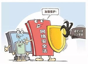 国家网络监管局，维护网络安全与秩序的守护者