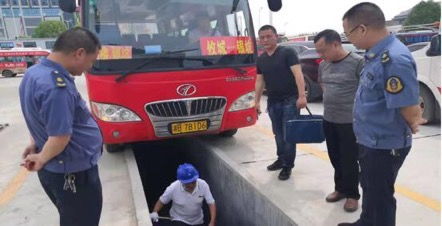 掌握驾驶证年审查询系统，保障安全，便捷出行
