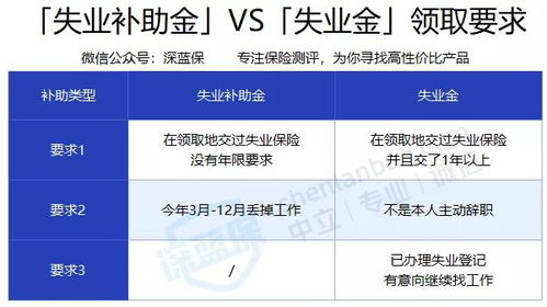 安全网，轻松领取失业补助金的指南