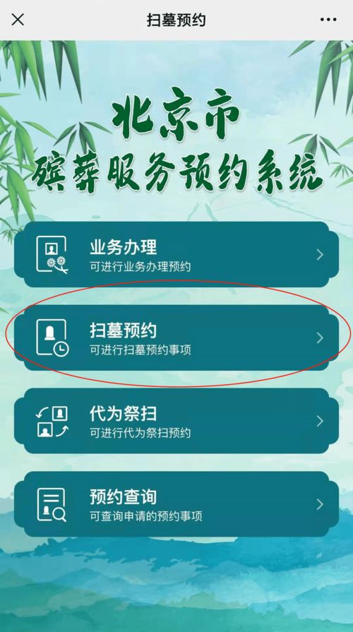 清明节假期指南，2021年的春日祭扫与休息时光