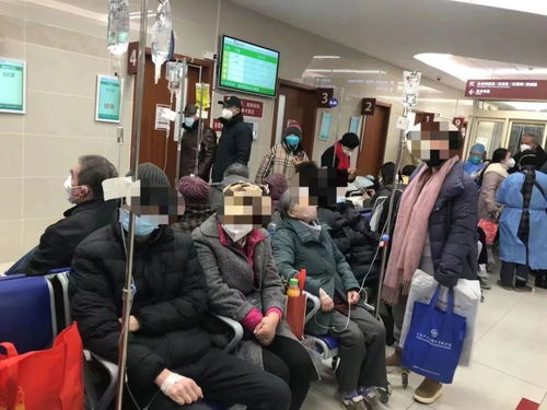 全国各城市感染高峰，疫情动态分析与应对策略