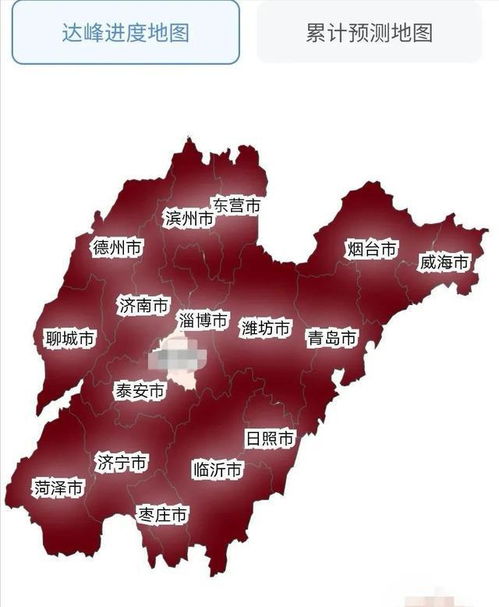 全国各城市感染高峰，疫情动态分析与应对策略