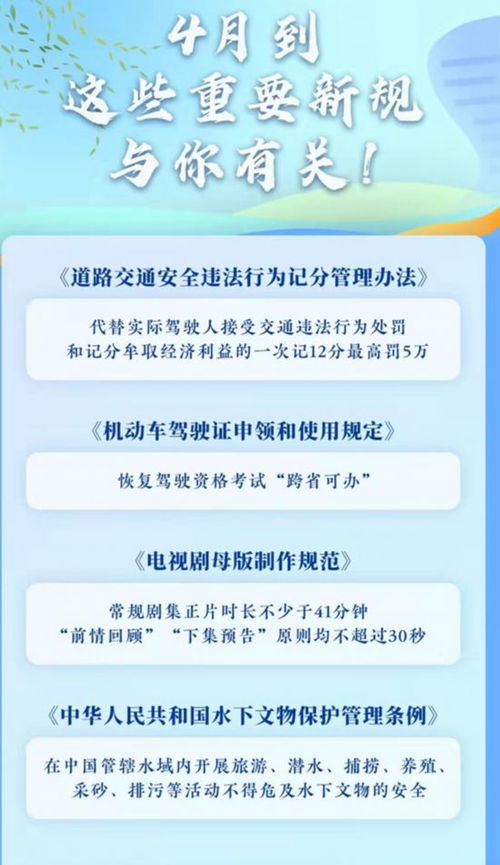 掌握驾驶技能，了解驾照考试费用及其重要性