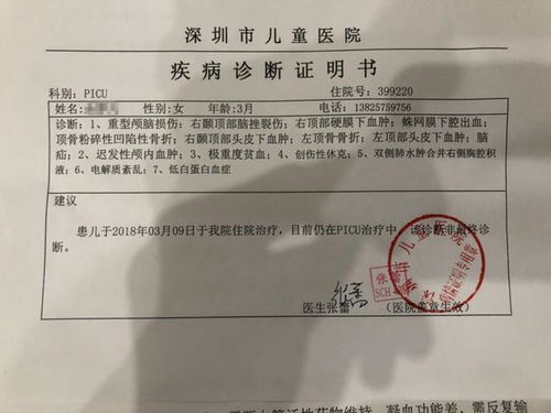 办理出生证明，详细指南与实用建议