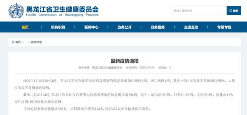 黑龙江疫情最新动态，新增23例确诊，深入了解与应对策略