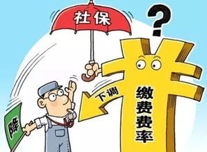 深入了解，养老保险金领取条件全解析