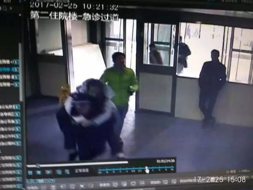 惊心动魄的瞬间，老人被高空坠猫砸晕事件全解析