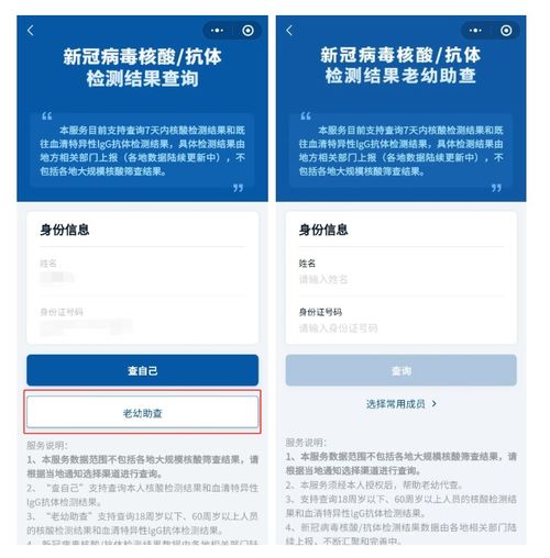 一键查询，身份证号码背后的学历秘密