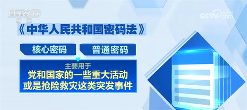 人事制度改革，激发活力，构建现代管理新体系