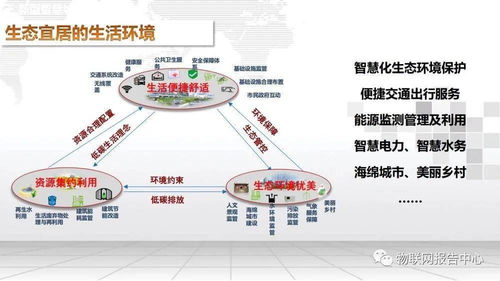 广州市地税，税收政策与城市发展的双轮驱动
