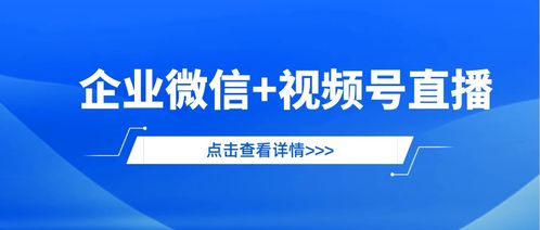 东营红盾网，企业信用信息的守护者