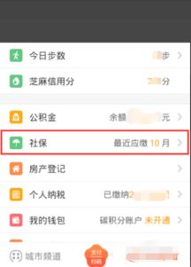 南京社保查询全攻略，如何轻松掌握你的社保信息
