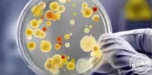 深圳人工流产，了解、关怀与支持