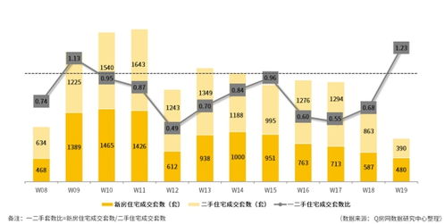 网络健康与安全，了解草榴现象及其影响