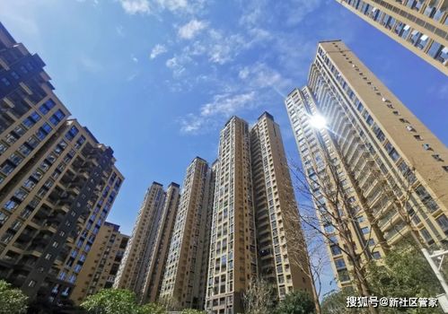 安义二手房市场深度解析，投资与自住的双重视角