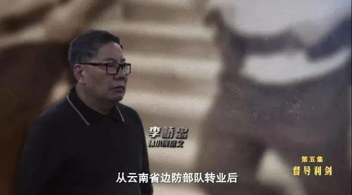 孙小果罪行，深入解析与反思