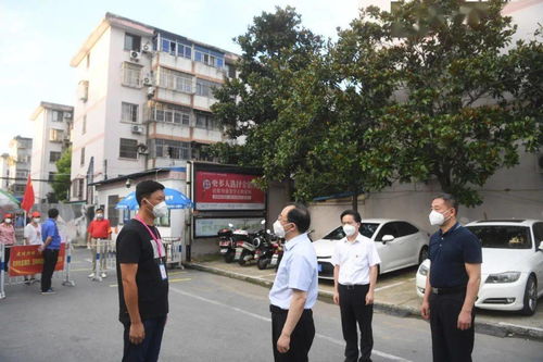 深入解析，31省份新增90例本土确诊背后的疫情动态与防控策略