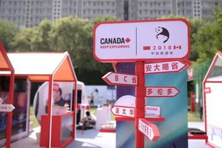 探索激情与商机，如何开启你的成人用品店之旅